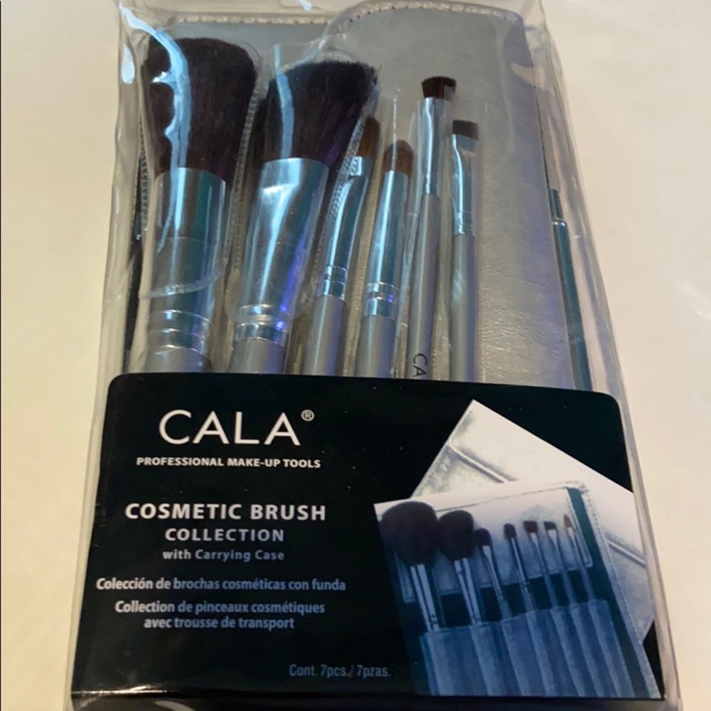 Professional makeup brushes / case